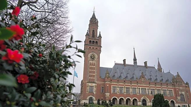 US defends Israel against South Africa's allegation of genocide filed to top UN court