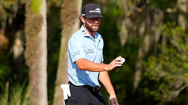 Cameron Young is clutch on the island green and rallies to win The Players Championship