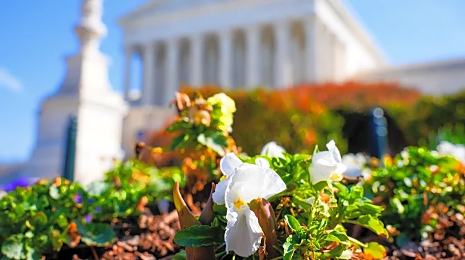 Is spring really — finally — here?