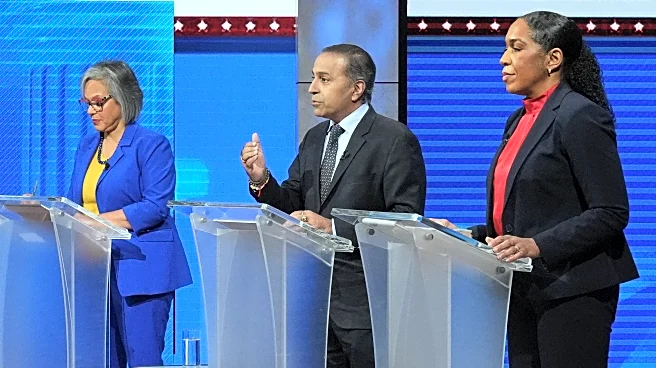 Illinois voters pick a new generation of Democrats for House, Senate after near-record retirements