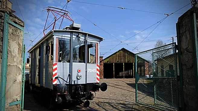 Budapest's vintage freight trams celebrate 100 years in service