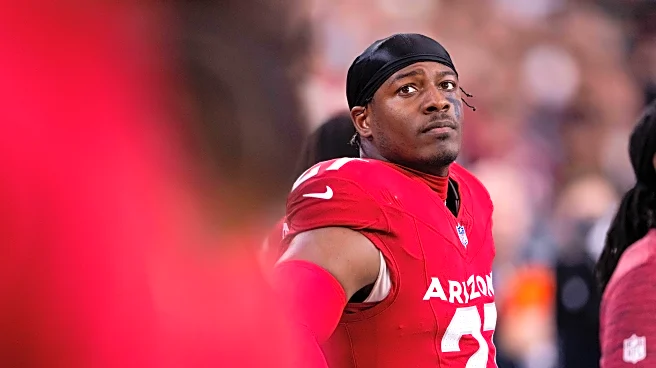 Colts sign linebacker Akeem Davis-Gaither and wide receiver Nick Westbrook-Ikhine