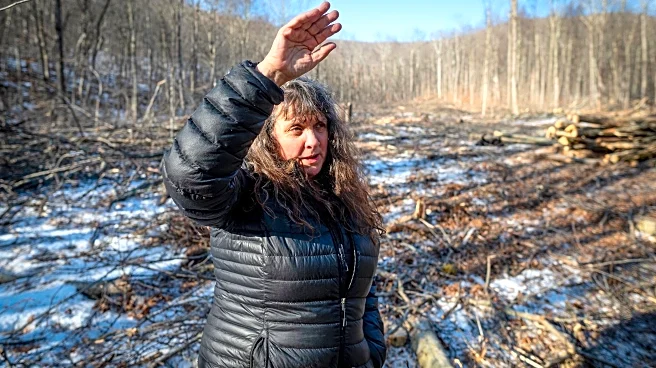 Groups take opposite stands on Green Mountain National Forest logging in Vermont