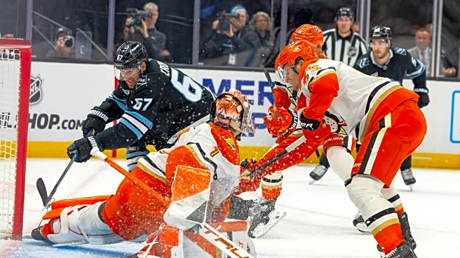 Ducks beat the Mammoth 4-1 to pad their Pacific Division lead