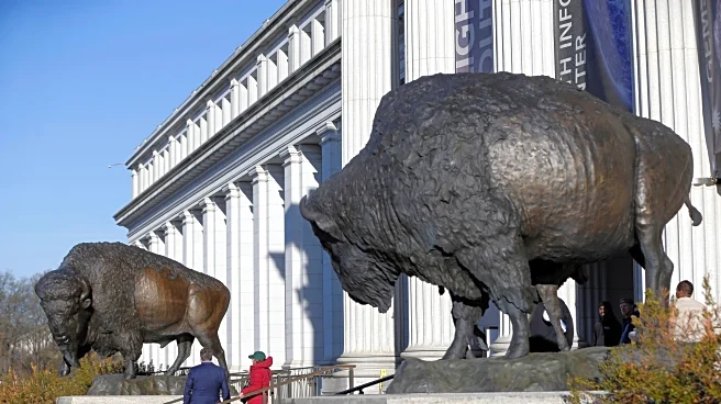 America's official mammal, the bison, gets a bronze tribute for the country's 250th birthday