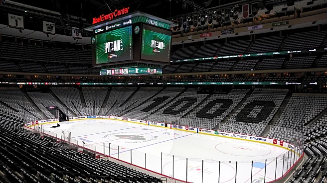 NHL mourns the death of Minnesota Wild reporter Jessi Pierce and her 3 children from a house fire