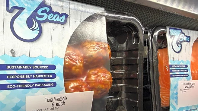 The seafood industry bets Americans will finally eat more fish if it looks more like meat