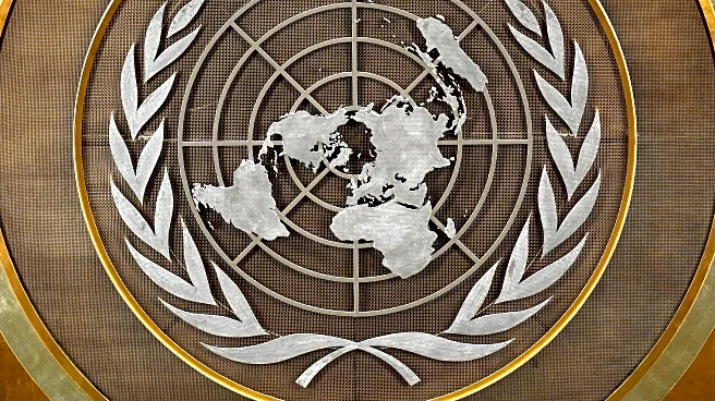 UN calls for reparations to remedy the 'historical wrongs' of trafficking enslaved Africans