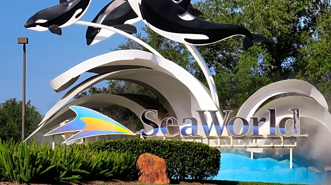 DOJ sues SeaWorld's parent company over ban on wheeled walkers at their parks