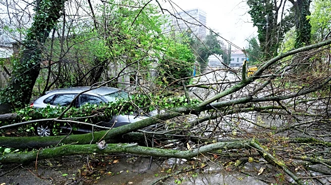 Snow and stormy winds close schools and roads, and cut power in some Balkan countries