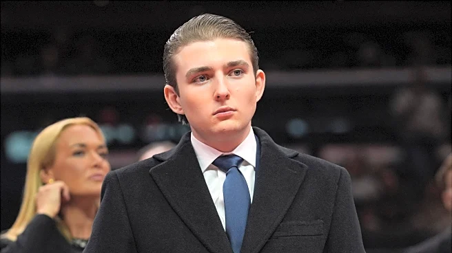 Russian man sentenced to 4 years in UK prison for assault witnessed on video by Barron Trump