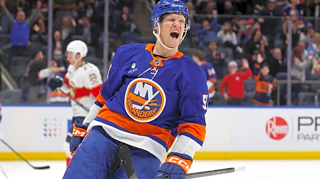 Islanders rally from a multigoal deficit to beat the Panthers 5-2