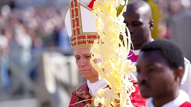 Pope Leo XIV rejects claims that God justifies war during Palm Sunday Mass