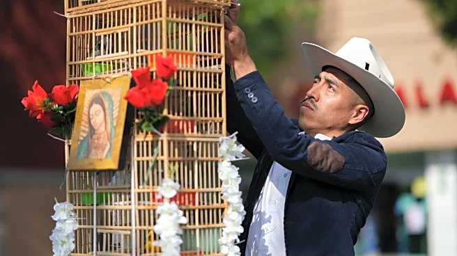 These men carry towers of birds through Mexico's streets. They say their tradition is dying out.