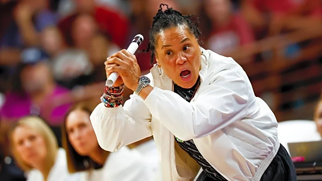 South Carolina's Dawn Staley says money is driving transfer portal recruiting talks more than ever