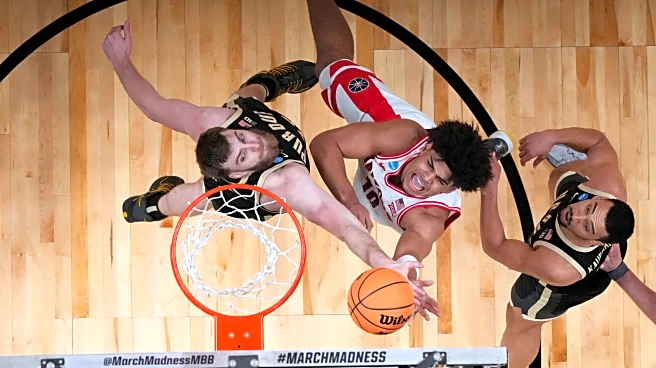 Illinois' defense, net efficiency of top seeds Michigan and Arizona stand out entering Final Four