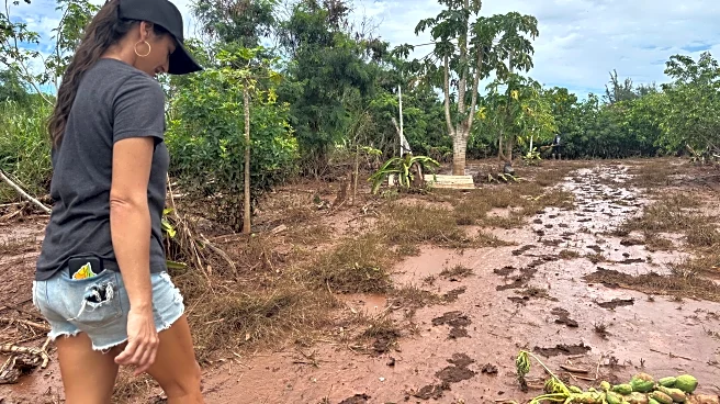 Neglected North Shore Plantation Waterways Fueled Damaging Hawaii Floods