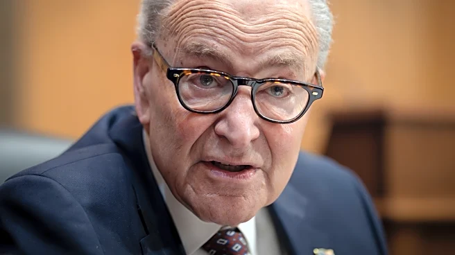 Schumer had a plan to win back the Senate. But some Democrats aren't on board