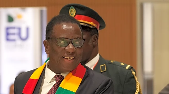 A hearing on extending Zimbabwe president's term erupts in chaos