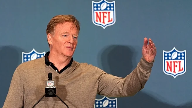 NFL Commissioner Roger Goodell has no plans to scrap Rooney Rule, despite Florida AG pressure