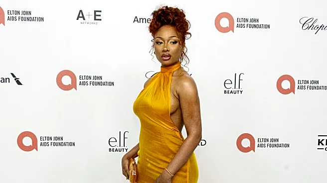 Megan Thee Stallion takes 2 Broadway shows off after illness during 'Moulin Rouge!'