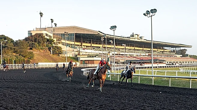 Golden Gate Fields could soon turn into a public park