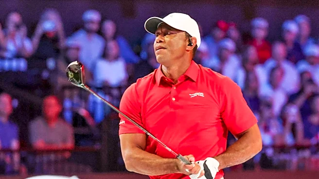 Tiger Woods turns down Ryder Cup captain's job and seeks treatment out of country