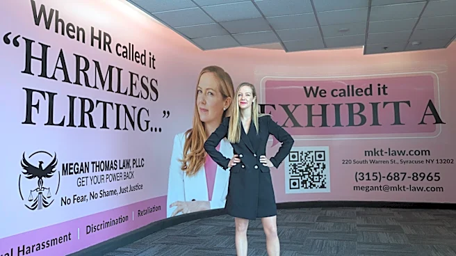 Sexual harassment lawyer sues over rejected airport ad, now has a massive billboard