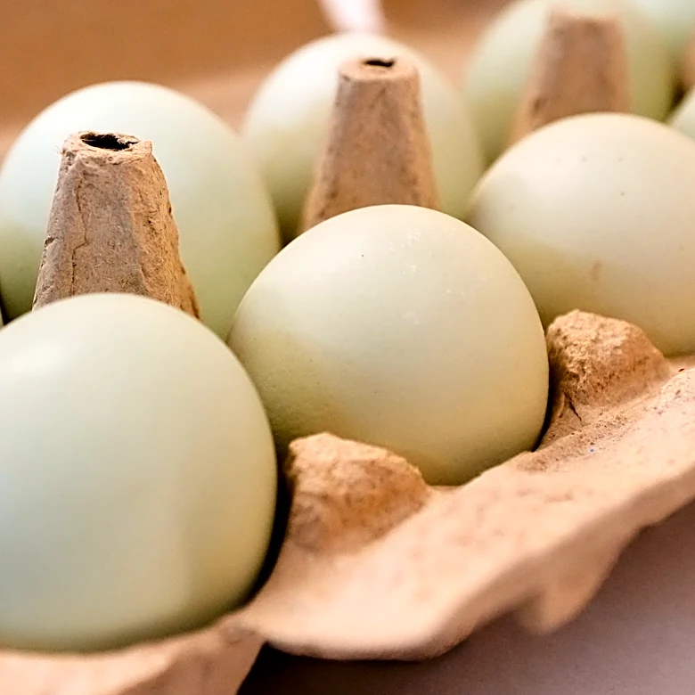 Eggs for Easter cost much less in the US than last year. A look at the numbers