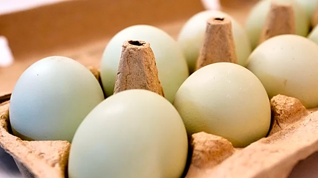 Eggs for Easter cost much less in the US than last year. A look at the numbers