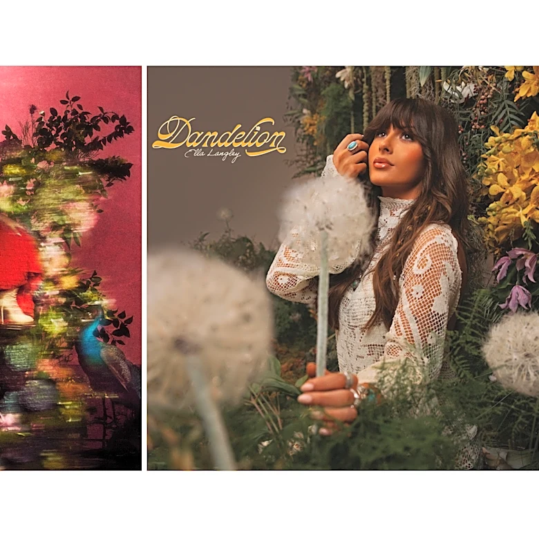 What to Stream: Sydney Sweeney, 'Malcolm in the Middle,' Jonah Hill, 'Hacks' and Ella Langley