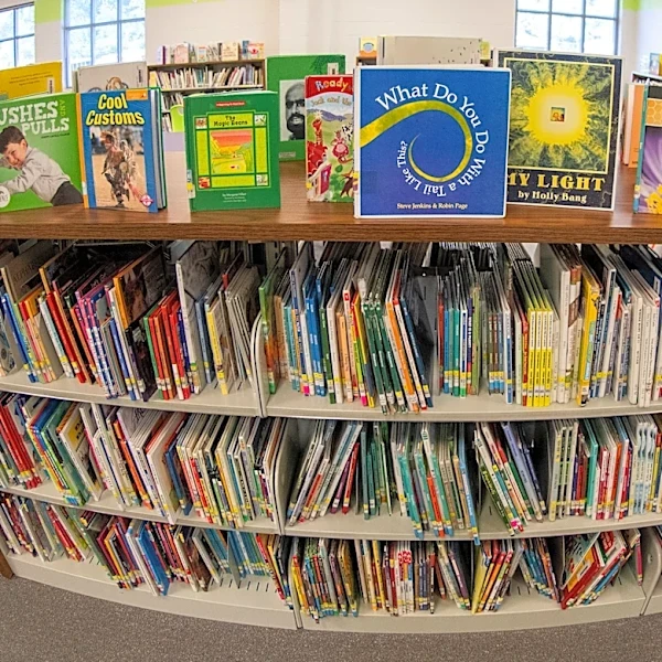 From book bans to basement makeovers: 10 win I Love My Librarian Award for making a difference
