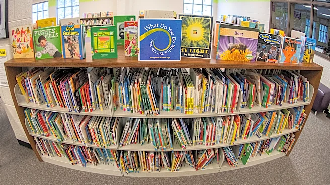 From book bans to basement makeovers: 10 win I Love My Librarian Award for making a difference