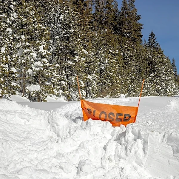 Analysis by avalanche experts questions decisions by guides on deadly California backcountry trip