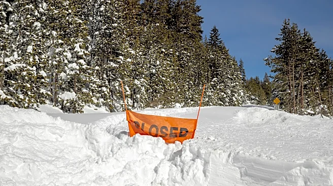 Analysis by avalanche experts questions decisions by guides on deadly California backcountry trip