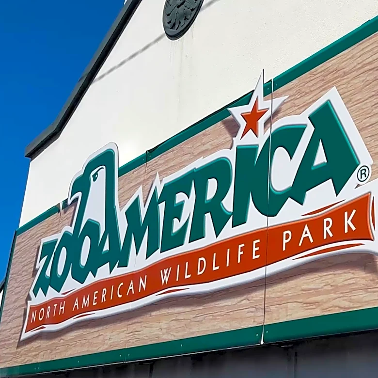 Parents charged after toddler slips into wolf area and gets hurt at Hersheypark zoo