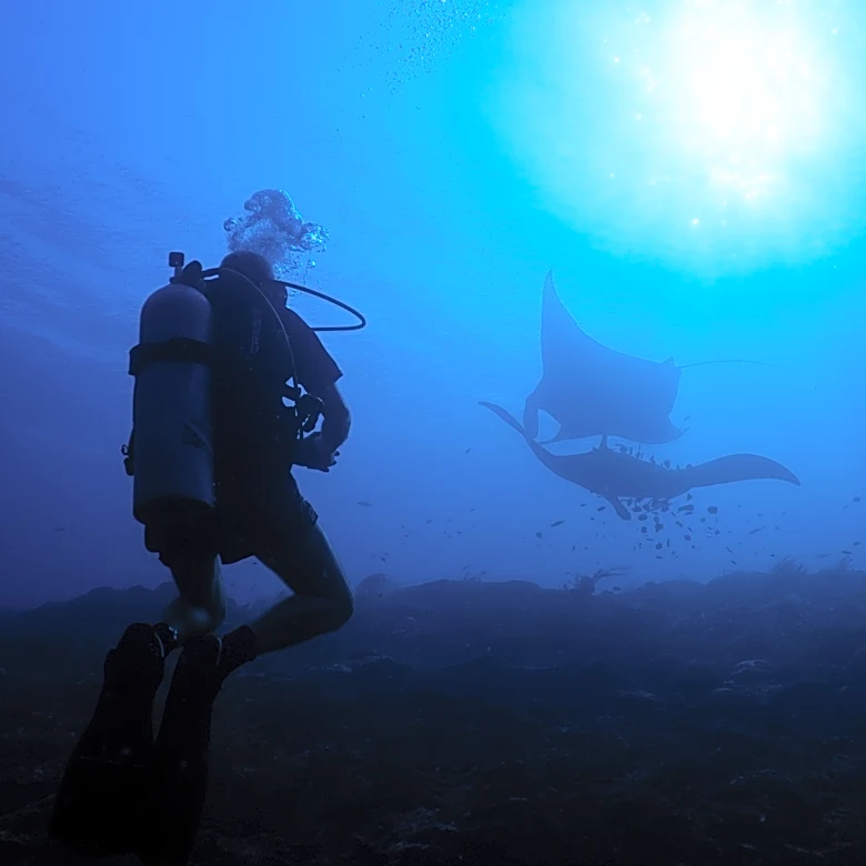 Ocean protections clash with mining pressure in Indonesia's most diverse marine ecosystem