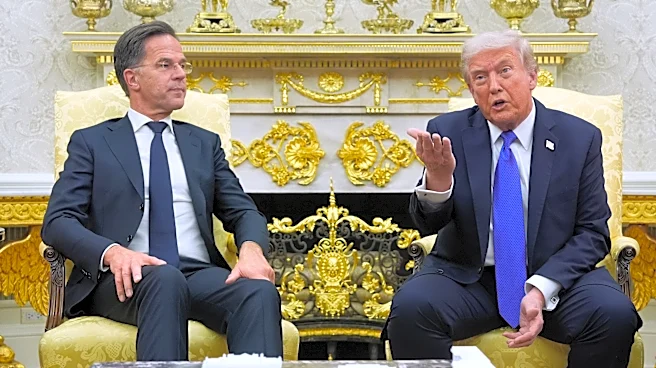 Trump complains NATO 'wasn't there when we needed them' after talks with alliance leader Rutte