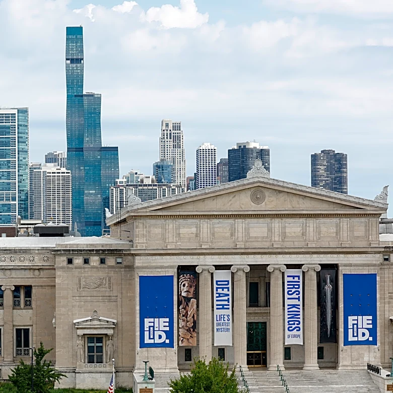 Scientists say the world's oldest octopus fossil isn't an octopus after all