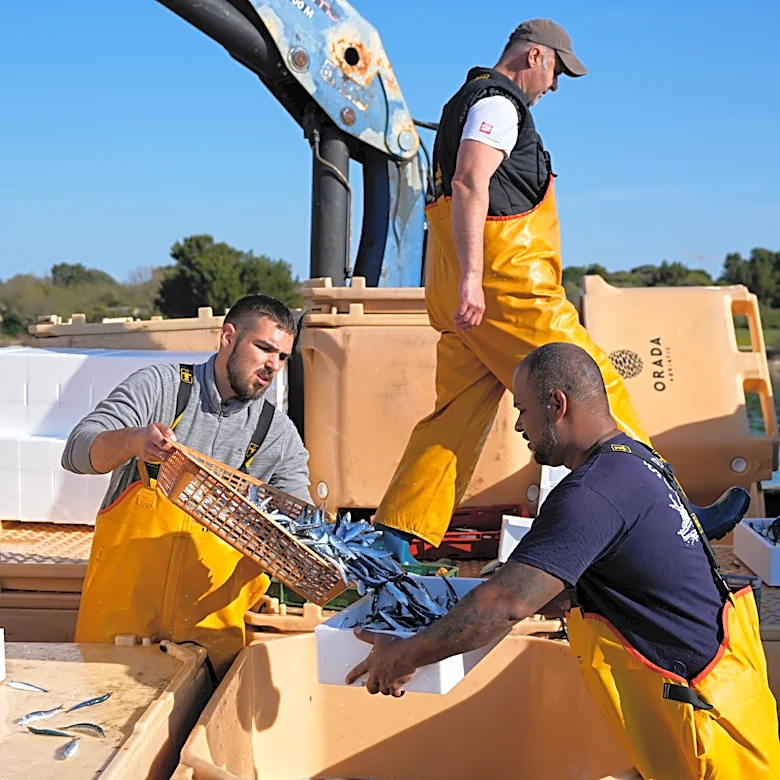 Croatian fishermen feel the strain after Iran war ramps up fuel prices