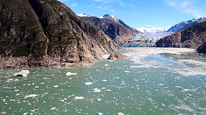 Cruise companies to Alaska are avoiding a popular excursion to Tracy Arm after a massive landslide