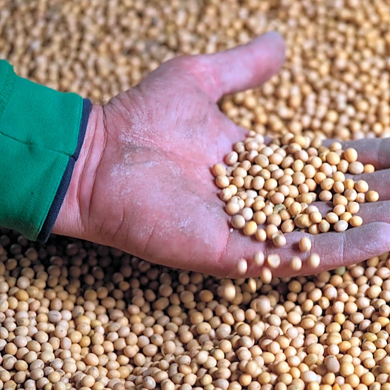 Takeaways from AP and Lee's report on how soybean farmers were impacted by tariffs, Iran war