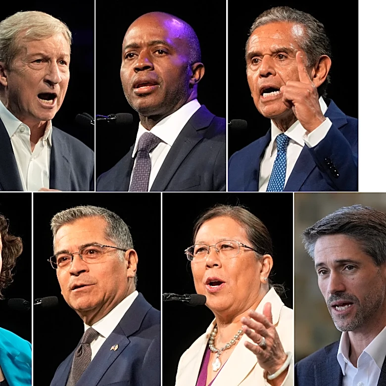 Voting for California governor begins in a month. Here are the candidates in the running