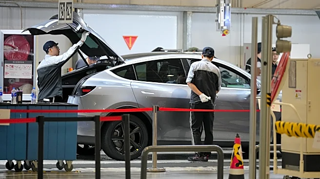 Tesla leader believes Shanghai factory operations will play a role in robot mass production
