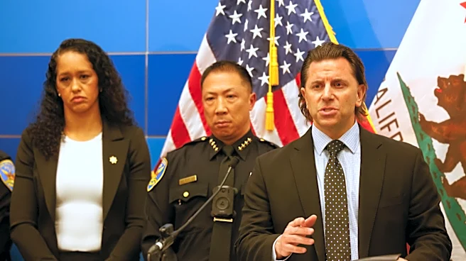 Attorney for suspect in attack at Sam Altman’s home says he was in midst of 'mental health crisis'