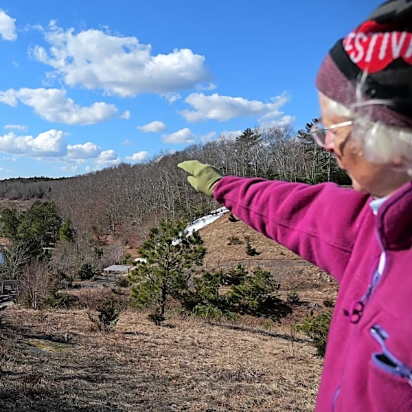 How a retired cranberry bog helped change the game for wetland restoration