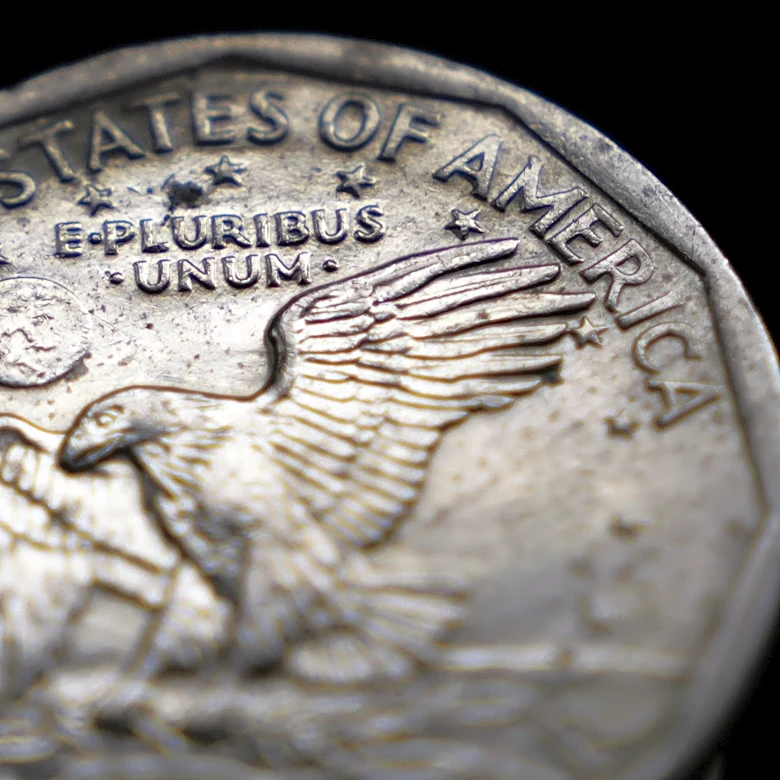 'Out of many, one,' says a US national motto. What does that push for unity mean today?