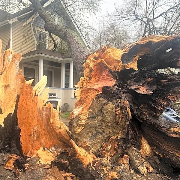 Floodwaters inundate Wisconsin streets, trapping drivers, as Midwest rebuilds after powerful storms