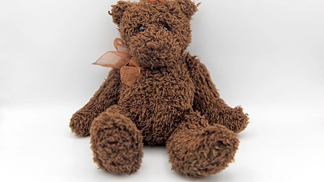 A raggedy toy to a treasured symbol of childhood: The teddy bear