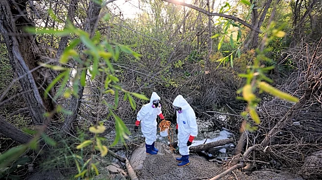 Miles sufren problemas de salud por las toxinas de las aguas residuales del río Tijuana